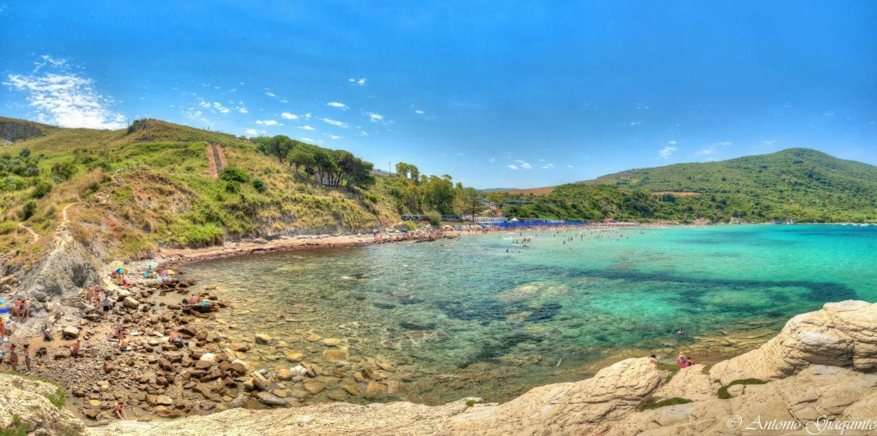 Agriturismo Al Gallo Verde Altavilla Silentina Bagian luar foto
